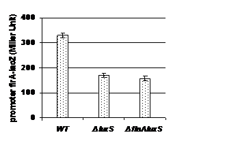 Fig. 4 : Comparison of flrC expression among luxS mutant strain of Vibrio cholerae MO10 lac -& wild type. Transcription level of flrC was measured by Î?"galactosidase assay using flrC promoter-lacZ fusion transcriptional reporter construct