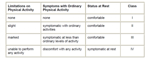 Figure 2 : Right Lung system at pulmonary artery.