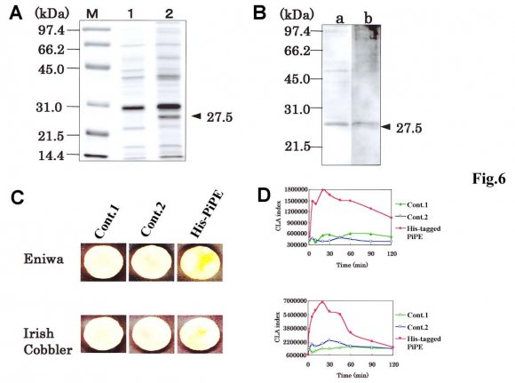 Figure 2 : Elicitor activity and peptide components of FPLC fractions