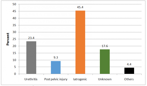 Figure 3 : Aetiologies of urethral stricture in patients who underwent DVU (N=227).