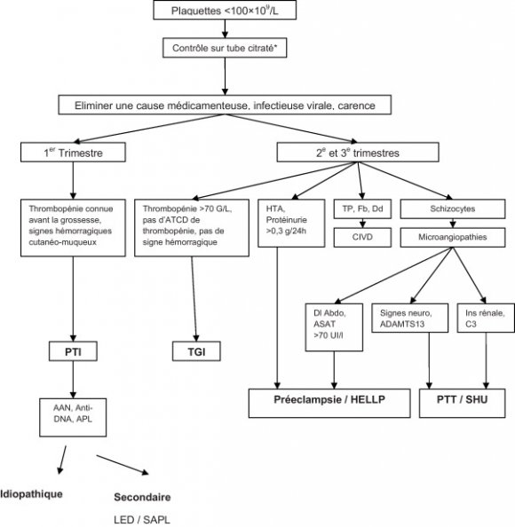 possible et se manifeste par des douleurs thoraciques et des troubles de la repolarisation sur l'électrocardiogramme. Plus rarement, une atteinte pulmonaire avec défaillance respiratoire et des atteintes oculaires ont été décrites.