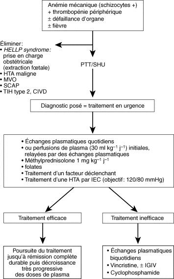 De Moschowitz Et Grossesse A Propos D'un Cas Avec Revue De La Litterature Global Journal of Medical Research 20 Volume XIV Issue III Version I Year ( )groupes de travail tendent à mettre en place des schémas thérapeutiques généraux (Fig.4).