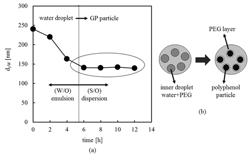 Figure 12 : Dependence of water droplet diameters on surfactant concentration and dependence of GP powder particle diameters on water droplet diameters