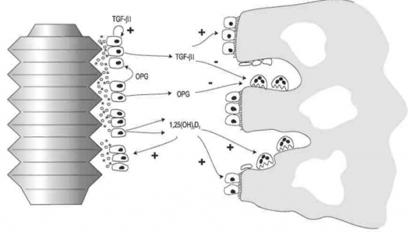 Volume XIV Issue IV Version I© 2014 Global Journals Inc. (US)