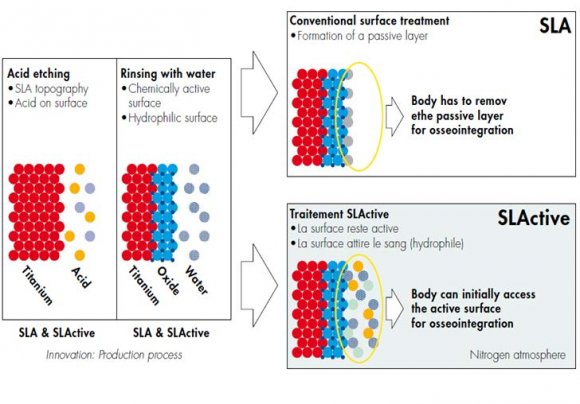 Schliephake et al. (2005b) and Rammelt et al. (2006) 40 -41.