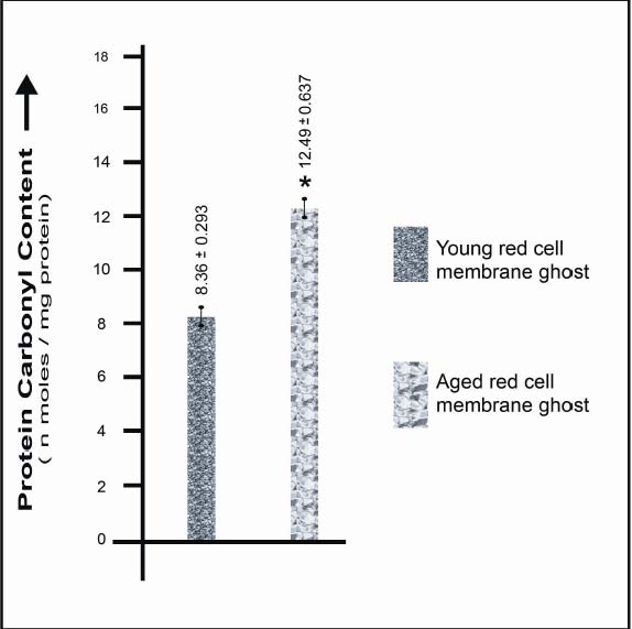 Figure 1 : Effects of iron and ascorbate on erythrocyte membrane Incubation of erythrocyte ghosts were carried out for 4 h as described in the methods. All lanes contained equal amount of protein. Lanes (a, b, c, d):-erythrocyte ghosts incubated in the buffer alone (a) or with 0.2 mM FeSO 4 (b) or 0.5 mM ascorbate (c) or 0.2 mM FeSO 4 and 0.5 mM ascorbate (d). The bands in Lane (d) were numbered according to Fairbanks et al (1971).