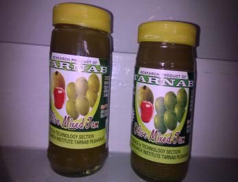 Values having different alphabetical letters are significantly different (P<0.05) Showing treatment AO 5 and its replication of the Apple Olive blended jam stored at ambient temperature Quality Evaluation and Preparation of Apple and Olive Fruit Blended Jam Journals Inc. (US)