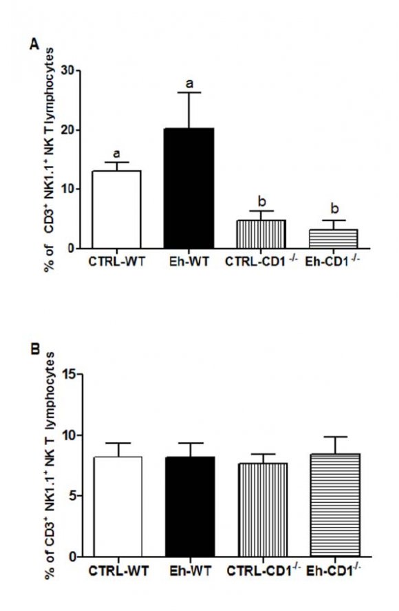 Figure 2 : Frequency of CD4 + CD69 + T lymphocytes in the mesenteric lymph nodes (A) and in the spleen (B) of C57BL/6 WT e C57BL/6 CD1 -/controls and infected mice with Entamoeba histolytica. Data are shown as means ± SEM, n =8, p<0.05.