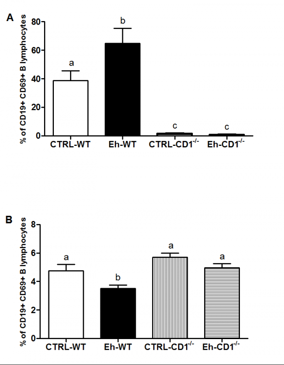 Figure 2 : Typical change in 10 B concentration in tumor, normal tissues and blood measured by Dynamic PET technique with 10 BPA administration by (a) Intraveous injection and (b) Drip injection methods Sudden increase and peak in 10 B concentration in blood, normal tissue and tissue were found just before intravenous injection of BPA administration. Whereas, the changes in 10 BPA concentration after drip injection show modest slow changes in 10 B concentration in normal tissues, tumor and blood, respectively (Figure 3).