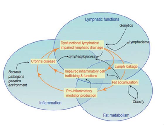 Figure 5 : Sensitivity of the proposed system