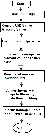 Fig. 5 : (b) Result of averaging filter VII. Result & Discussion Otsu's method is used to detect damaged optic disk & damaged nerve fibers. For which 1) we compute a mean value of colors with maximum intensity by applying a global threshold to convert an intensity image to a binary image. By normalized intensity value that lies in the range [0, 1]. 2) We have removed a Noise of grayscale image & then applied adaptive wiener filtering & by median filter; by estimating the local mean and variance around each pixel. Thus as shown in figure (1 & 2) only selected damage nerve fibers & optic disk is observed.