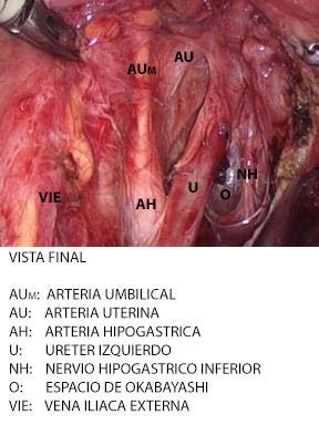 Fig.4