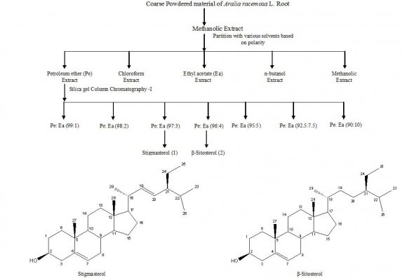 Aralia racemosa L. and its Triterpenoid and Steroid Compounds against   