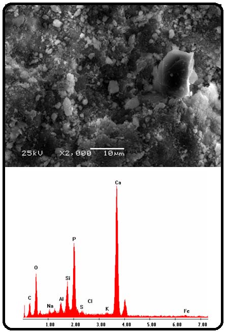 Figure 2 : Cyclic voltammograms recorded in electrolytic solution, at 100 mV/s, at a-carbon paste electrode, b-NP modified carbon paste electrode b) Electrochemical detection of studied metalsThe experimental conditions have been optimized and the response characteristics determined in a previous work[29]. The results obtained are:??p H ? ? 7 ??Pre conce ntra tion time = 13 min.In order to avoid the strong residual of reduction, the starting potential was fixed at -1V versus SCE. Fig.3shows a cyclic voltammograms performed between-1 V and 1 V for NP-CPE, in 0.1M Na2SO4 solution (curve a), and in 0.1M Na 2 SO 4 , after exposure NP-CPE to 0.510-3 mmol/L P-Aminophenol for 13 min, in a stirred solution (curve b). The reversible system