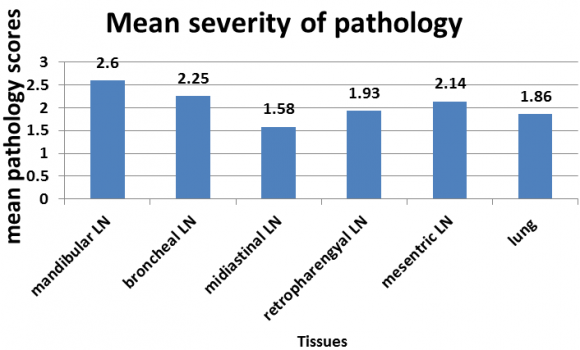 Nemomsa et al. (2014) (9%); Zeru et al. (2013) (6.4%); Romha et al. (2013) (5.8%