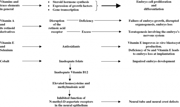 ). As mentioned by Robinson et al. (2006) the impact of nutrition on embryo survival in ruminants extends beyond the supply of essential nutrients and the modification of the hormones and growth factors that influence embryo development. Numerous micronutrients are involved in embryo development and survival. Those for which deficiencies, and in the case of Vitamin A excesses, are linked to impaired embryo development and poor embryo survival in practical farming systems are shown in Fig. 1