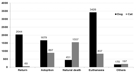 Figure 3 : Management of abandoned dogs and cats in 25 districts of Seoul City in 2013