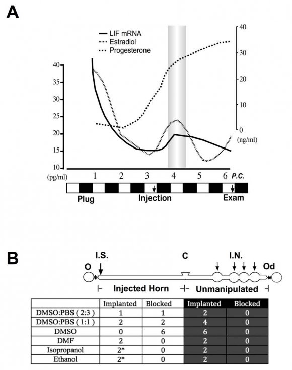 Chemical Inhibition of JAK2 Mimics Genetic Ablation of Uterine Function of Leukemia Inhibitory Factor