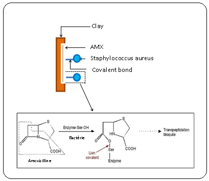 Figure 3: Density of current according to the time of contact