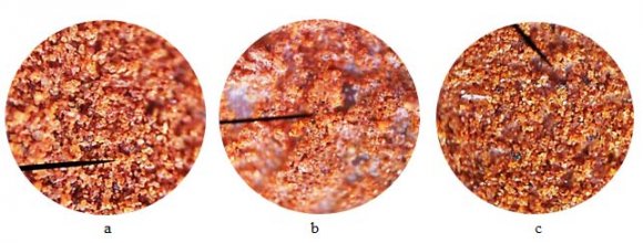 Electrochemical Biosensor based on Clay for the Immediate Detection of the Bacteria