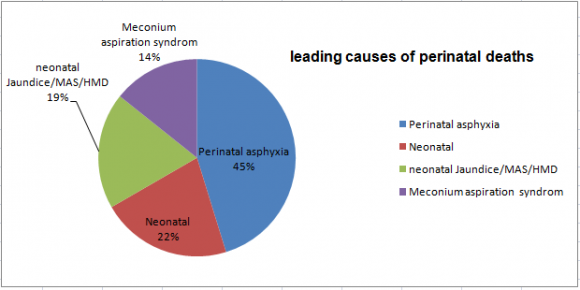 Figure 3: Leading causes of perinatal deaths in Finoteselam Hospital, Northwest Ethiopia, 2015