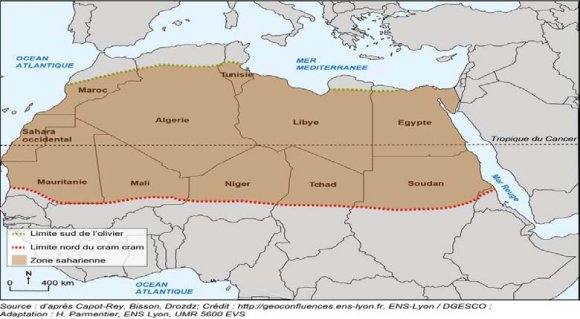 Fig. 6: The Valley of Djenain Difallah district, Bechar -Algeria (Oued Bechar).