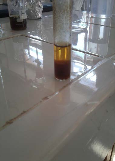 Presence, '++' Medium Presence, '+++' Strong Presence, '-'Absent N.B: the rate of the presence depends on the speed of precipitation a) Tests of flavonoid (free, heterosidiques and glyosidic) The obtaining of a yellow color for the extract of leaves indicated the presence of flavonoids in a part of the plant studied (1 st test). ? The obtaining of a yellow color, which thinning passing of sheets, means that there is now of flavonoids heterosidiques (2 nd test). ? Obtaining a color Granada for the extract of sheets indicated the presence of flavonoids -glyosidic (2 nd test). ? Obtaining a yellow color of the alcohol phase, for the leaves, which involve the presence of flavonoids free (3 rd test). b) Tests of steroids and unsaturated sterols ? For the leaves, no shift toward red Brown has been found. While the color change yellow to red Brown has been well note for the rods, these variations of color indicates the presence of steroids. ? The disappearance of the dark green color and the appearance of the transparent color, indicate the absence of unsaturated sterols in the leaves. Whereas, the persistence of the green color shows the presence of unsaturated sterols which is significant quantity in the part of the rods. The obtaining of the red color after the addition of acetic acid glacial to the two parties of the shrub shows the absence of cardenolides. d) Test of saponins ? In a test tube with a diameter of 1.5 cm, it has measured foam of 2 cm thickness for the part of the rods, by against for the portion of the leaves we noted therefore 1 cm of the foam, which indicates the presence of saponosides. e) Test of tannins ? A rapid color change toward blue-black follows a precipitate was noted for the two parties' leaves and rods of the shrub this identifies the tannins in all parties. In addition, obtaining a red precipitate in the test of condensed tannins indicates their presence. f) Test of sterol and unsaturated terpenes ? This test has shown the presence of sterols and unsaturated terpenes. By comparing the two parties. It has been observed, for the leaves the appearance of a layer interphase of color Granada (red-brown) of low thickness. While the rods have shown a strong layer interphase of Grenade color (red-brown). g) Test of alkaloids ? The test of alkaloids has shown no precipitate for the two parts of the shrub. There are no alkaloids in Tamarix gallica.