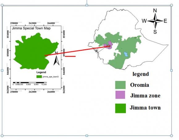 b) Study Population and Study Design A cross-sectional study design was employed for estimating the prevalence of indigestible foreign body types in the rumen and reticulum of sheep and to assess the possible risk factors associated with different indigestible foreign body. The study was conducted on local breed sheep with different age groups slaughtered at Jimma municipal abattoir. All animals considered in this study were males as female were not slaughtered in Jimma municipal abattoir during study period. The animals were brought from different areas including Dedo, Asandabo, Serbo, Mana, Seka, and Bilida. Most of these animals are managed under an extensive management system. c) Sampling Techniques and Sample size determination A simple random sampling technique was used for sampling sheep brought for slaughter from various localities to Jimma municipal abattoir. On average about 6 sheep were selected pre-slaughter and followed to collect their stomach and diagnose the indigestible foreign bodies. The abattoir was visited twice weekly and averagely the numbers of daily sheep slaughtered in the abattoir were around eight sheep. The required samples size for the study were determined by the formula given by Thrusfield (2005) based on the expected prevalence (9.7%) (Tesfaye et al., 2012) of sheep indigestible foreign bodies and the 5% desired absolute precision and 95% confidence interval (CI).