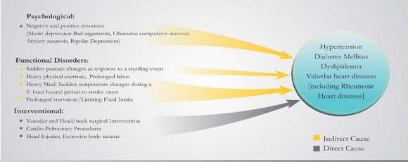 Diagnosis can begin with aauscultation of the carotids for reduced blood flow due to any obstruction, such as plaque formation. Brain computed tomography (CT) may show bleeding in the brain or ischemic changes to the nerve cells from stroke. The test can also show other brain conditions that may be causing stroke symptoms. Magnetic resonance imaging (MRI) can detect changes in brain tissue and damage to brain cells from a stroke. This also helps in the detection of the site of a blood clot restricting the flow of blood to the brain. Carotid angiography involves getting pictures of the inside of carotids through sound waves by injecting contrast media that highlight any narrowing/obstruction of the carotids, which may help in grading the type and intensity of carotid obstructions. Electrocardiogram (EKG) can exclude cardiac arrhythmia (fibrillation/flutter, prolongation of the PR interval).In addition to diagnostic tests, risk factors should also be assessed at presentation. Blood tests are also important. Abnormal platelet levels may promote recurrent stroke because of the recurrent bleeding disorder. Blood tests to measure how long it takes for blood to clot (BT/CT) can identify patients at risk for recurrence, as well. Finally, lipid profiles can identify recurrence risk, because raised blood cholesterol and lipoproteins are significant risk factors for stroke. Several triggering factors act either directly (head injury, head and neck surgeries) to cause episode of stroke, or indirectly via high blood pressure, uncontrolled diabetes, dyslipidemia, metabolic disorders [Fig1].