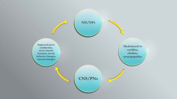 Figure 1: Direct and Indirect triggering factors