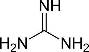 Figure 1: Guanidine and Galagine structures