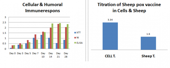 : NLMC Code: WA 360 Strictly as per the compliance and regulations of: Use of Different Immunoresponse Assays for Evaluation of Live Attenuated Sheep Pox Vaccine in Comparison with Challenge Test UseofDifferentImmunoresponseAssaysforEvaluationofLiveAttenuatedSheepPoxVaccineinComparisonwithChallengeTest Introduction heep pox virus is a member of genus Capri poxvirus in the family Poxviridae
