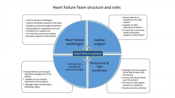 Figure 1: Organisation and key roles of the members of the heart failure team