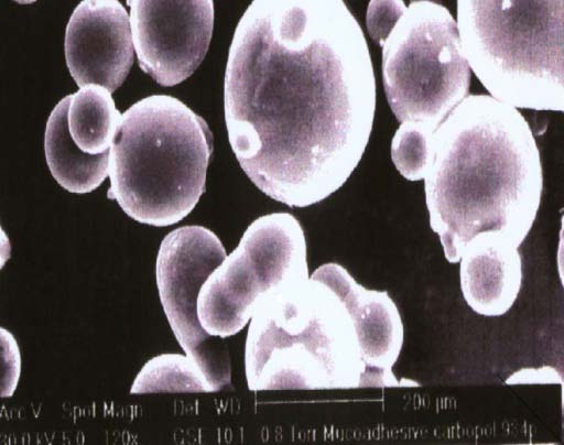 Figure 2: Phytoceuticals Reported from the Medicinal Flora, School of Pharmacy, GNITC, Hyderabad