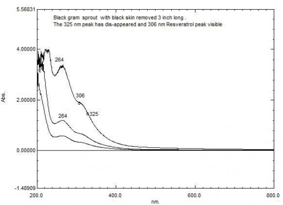 Fig. 4: UV absorption spectrum of water extract of Kidney bean sprouts with skin removed