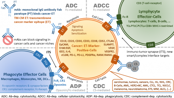 Figure 3: Biomedical Strategies and Therapeutic Mechanisms of mAbs in Immuno-Oncology