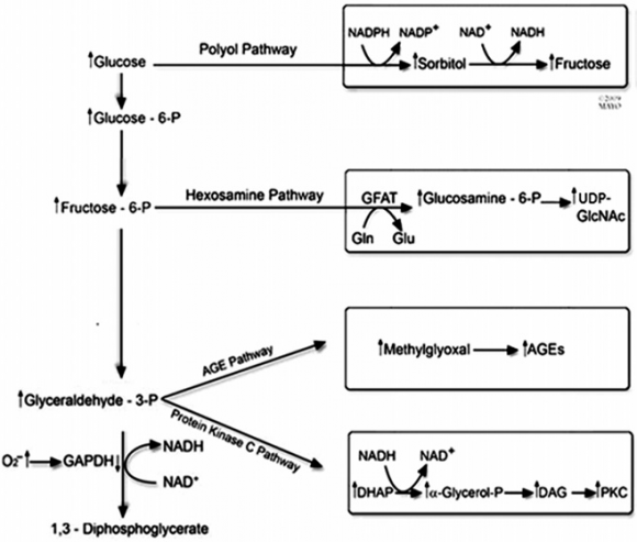 Figure 3: The effect of the test items on proinflammatory cytokine -interleukin-8 (IL-8) against TNF-? stimulation after 24 hours of treatment. TNF-?: Tumor necrosis factor alpha. All the values are represented as mean ± SEM of three independent experiments. **p?0.01 vs. untreated DMEM group.