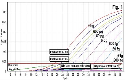 ), showed specific sensitivity reached to sixty femtogram RNA per microliter utilizing PH1/PH2 primer set. Furthermore, quantification of six Year 2019 Global Journal of Medical Research Volume XIX Issue I Version I