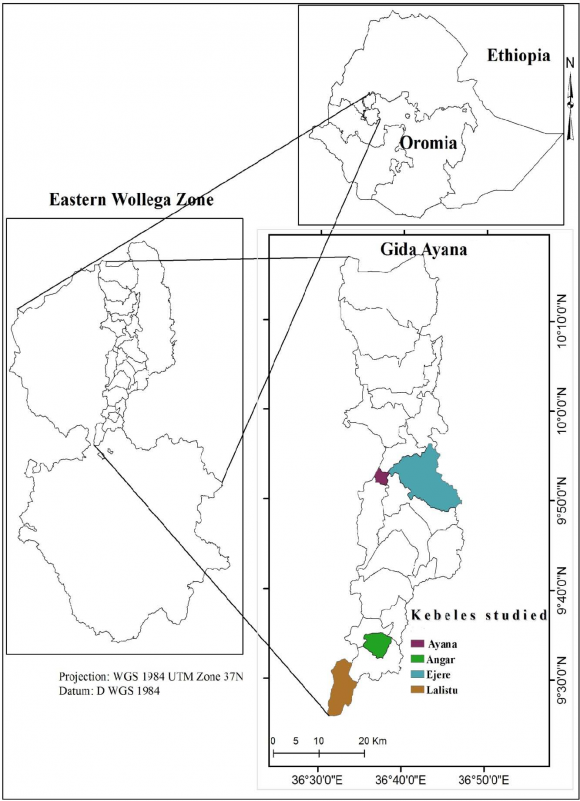 Figure 1: Study area c) ParticipantsThe study categorized the participants into three groups: local service providers, policy makers, and community members. We held a total of eight focus