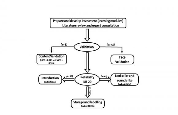 CVI = Item-level content validity index. *S-CVI = Average scale-level content validity *Y = Agreement on the content by the expert, *N = Disagreement on the content by the expert
