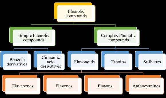 of phenolic compounds against different pathways involved in cancer have been shown in the Fig.11.