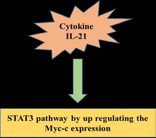 Plants -An Important Class of Phytomedicine in Wrestle against Canceractivity in cancer Due to the presence of many hydroxyl groups such as orthodi-hydroxyl, tannins have shown a strong antioxidant activity against cancer. Gallatin is very efficient when tested against cancer in various animal models. The four (4) ellagitannins, 2 chromone gallates inhibit phosphorylation of extracellular signal protein kinase and P38 kinase by decreasing AP-1 and activity on cancer They possess two aromatic rings linked by an ethene bridge. Resveratrol participates in all phases of carcinogenesis which include initiation, promotion, and progression of the tumor. Resveratrol can inhibit tumor cell growth by inhibiting protein kinase activation, ?catenin expression down-regulation, caspases activation, NF-kB and AP1 blockage. Resveratrol can as well inhibit expression in LNCaP in prostate cancer cells.