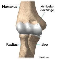 Sterilization-Next, the suture and attached needle are inserted into a foil packet and sterilized. Sterilization differs according to the suture material.