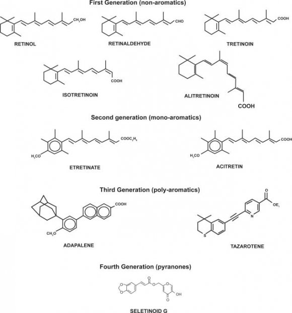 Figure 15: Collagen fiber structure, absorption/metabolism and deposition into skin cells and dermal layers. It is generally thought that collagen (derived products) are hydrolyzed into amino acids in the GIT prior to being absorbed into the blood circulation, which are then deposited into the skin cells and/or utilized as building block components for extracellular matrix proteins produced by fibroblasts. ALA = Alanine, HYP = Hydroxyproline, GLY = Glycine, PRO = Proline, and Ser = Serine.