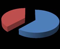 Fig. 1: Distribution of nurses by religion