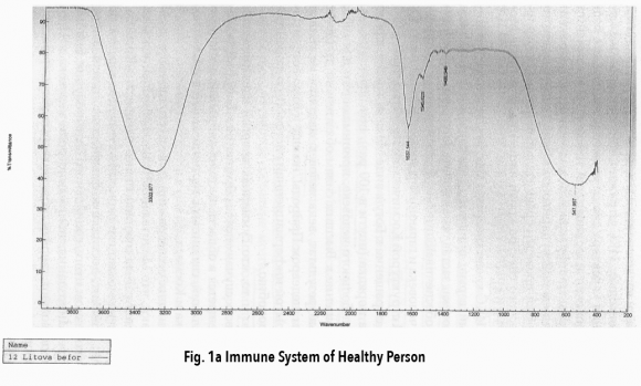 Fig. 1: A: In the fertilized cell, the two clumps of spinning in opposite direction mother's and father's DNAs (dark circles) migrate, meet, spin around each other, and fuse at the center of the cell