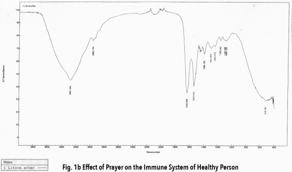 Fig. 2: The torus shaped nonlinear electromagnetic field (NEMF) of the Sun