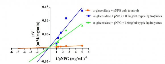 Figure 5: Lineweaver-Burk Plot of ?-glucosidase inhibition by hydrolysates obtained from peptic proteolysis of M. oleifera seed proteins