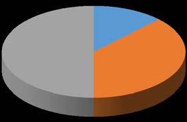 Figure 1: Risk factor profile in our case series of patients with PPCM