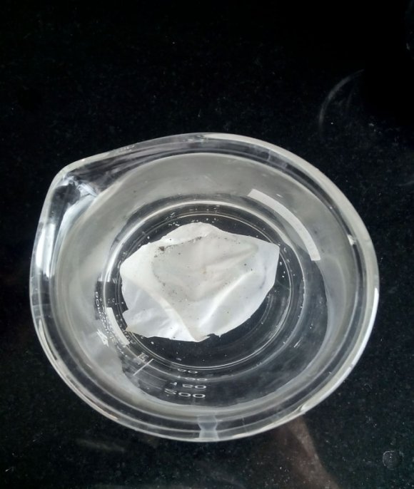 Figure 1: Parmelia perlata Lichen